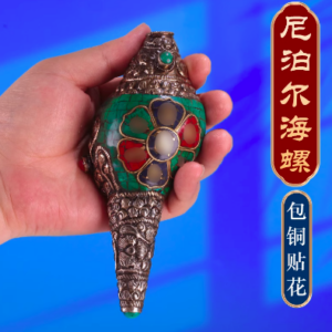 尼泊尔绿海螺佛家左旋生物右旋天然藏式密宗法器